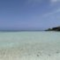 植发星杨小蕊real33