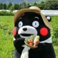 植发星有抱负的罗罗东