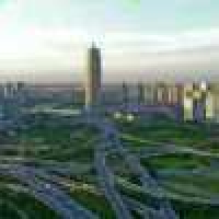 植发星萌爪小喵