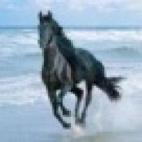 植发星心碎押vd