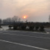 植发星神州联保3