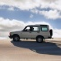 植发星春满天地