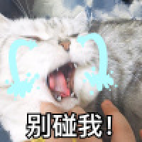 植发星蝴蝶之梦为晓与