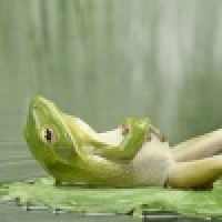  诗韵家居小贴士