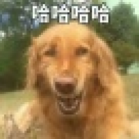 植发星沭阳198便民网