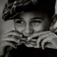 植发星春城晚报庄向bh